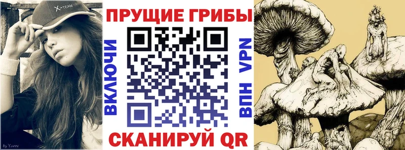 где найти наркотики  Искитим  Псилоцибиновые грибы GOLDEN TEACHER 