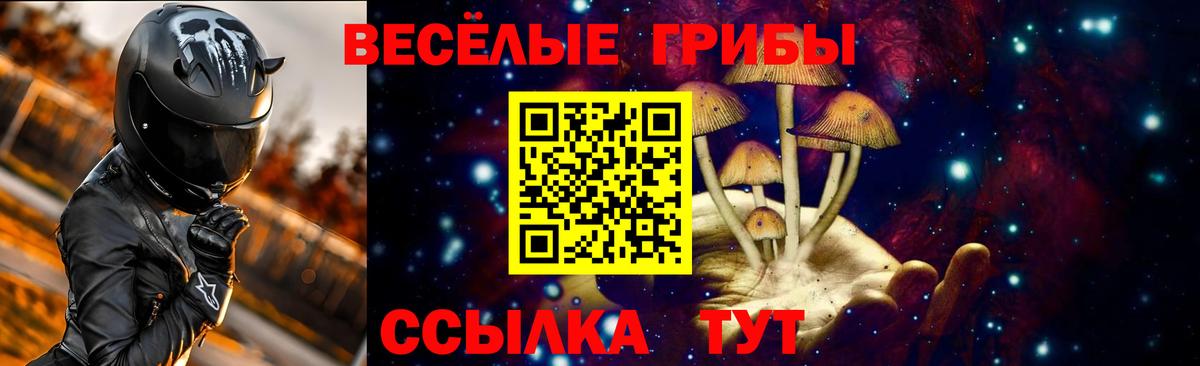 Галлюциногенные грибы Psilocybe  Вход с VPN  Искитим 